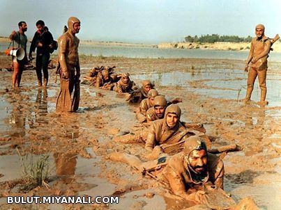 یاران به " بـــسم الـلـه " گفتــــن، رد شدنـــــد از آب ... من خــــــتم قـــــرآن کــــردم و درگیــ