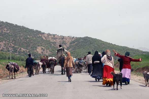 کوچ