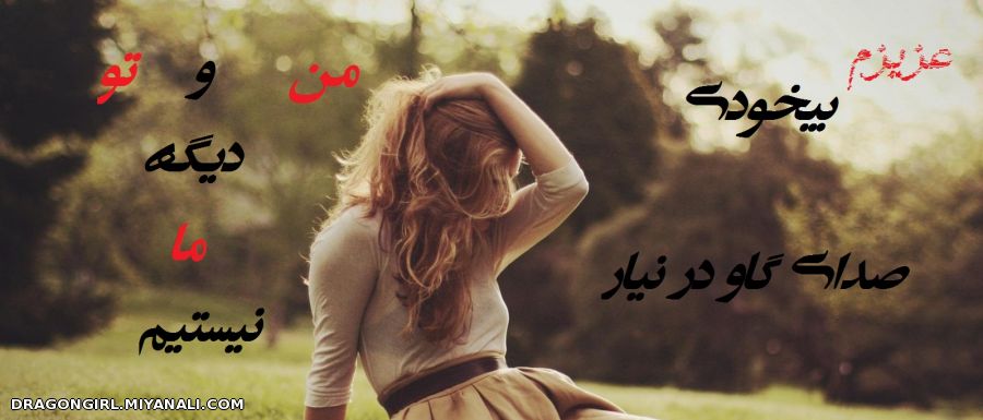 بیخودی صدای گاو در نیار عزیزم