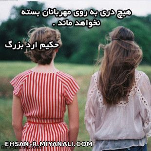 حکیم ارد لزرگ