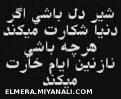 شعر