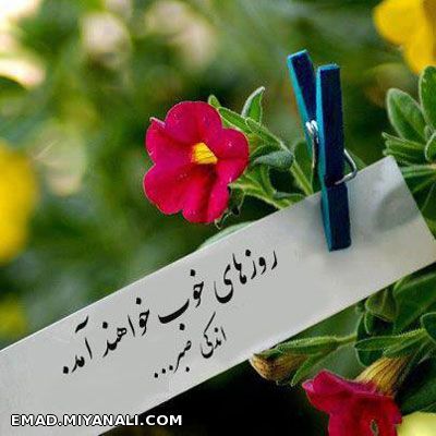 لیلای عالم