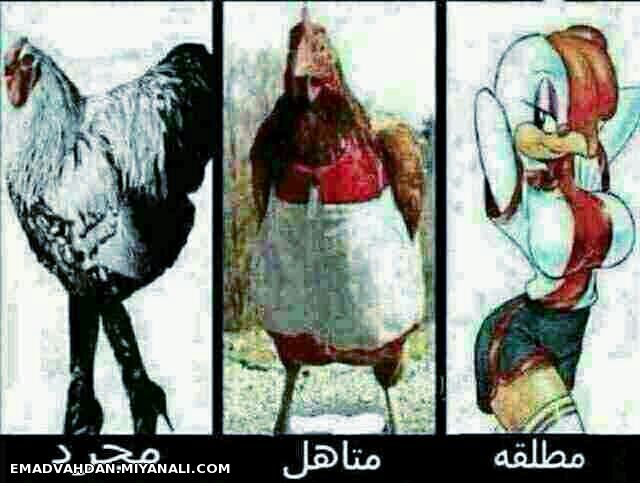 خخخخخخ