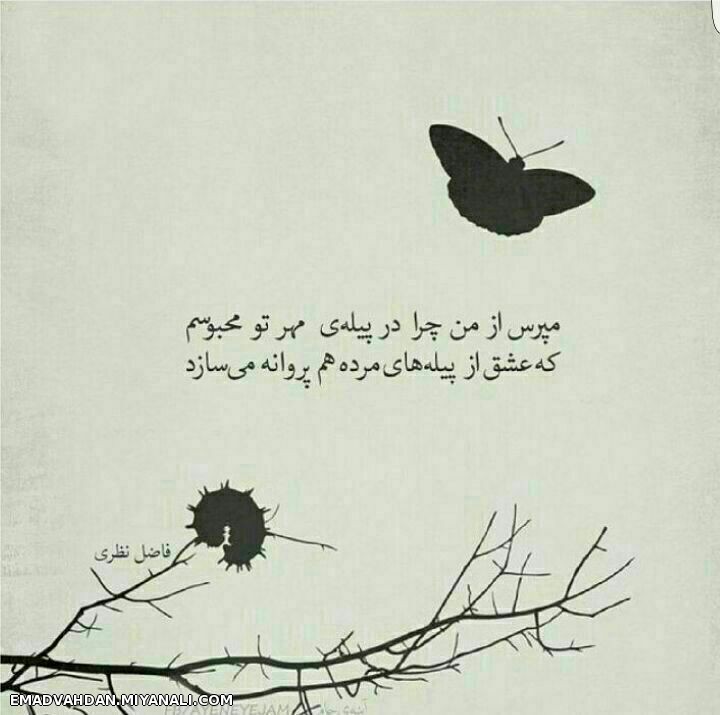 مهر تو