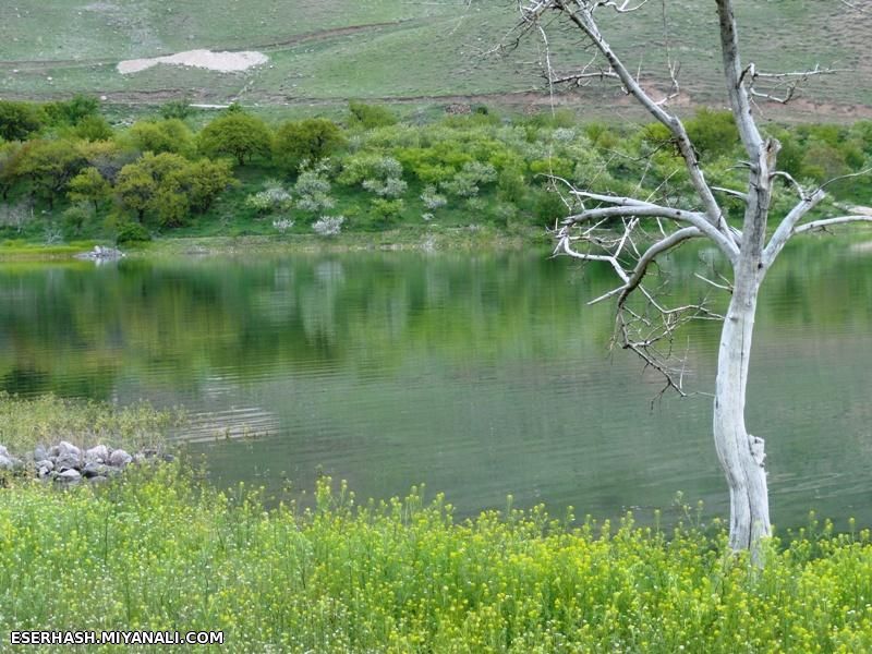 طبیعت شهرستان میاته