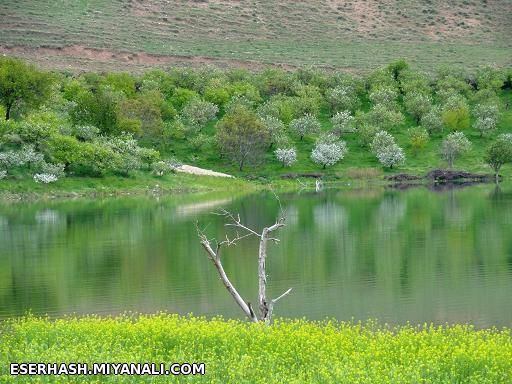 طبیعت شهرستان میاته