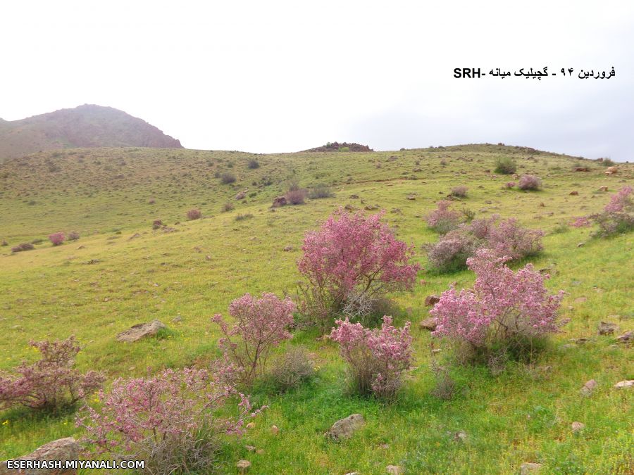 مناظری از گچیلیک میانه فروردین 94