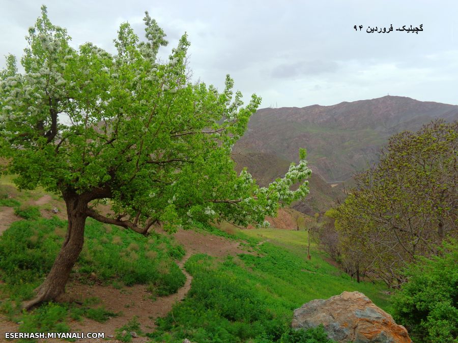 مناظری از گچیلیک میانه فروردین 94