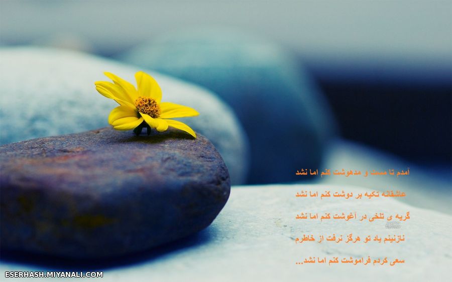 شعر