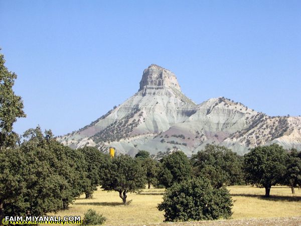 تقدیم به حمیدر ضا ( سرور هر چی لنگیه ) وتمام نیلوفران آبی ایران