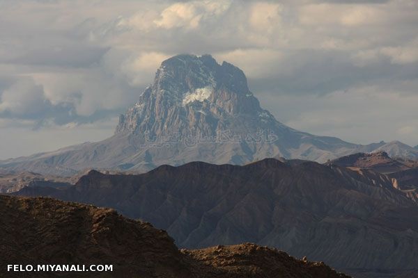 ایلان داغی