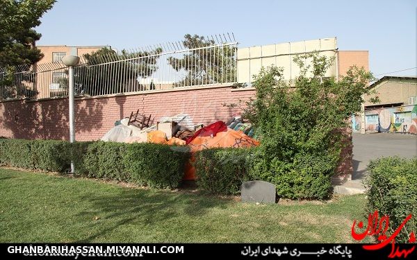 زندگی خواهر شهید در گوشه خیابان