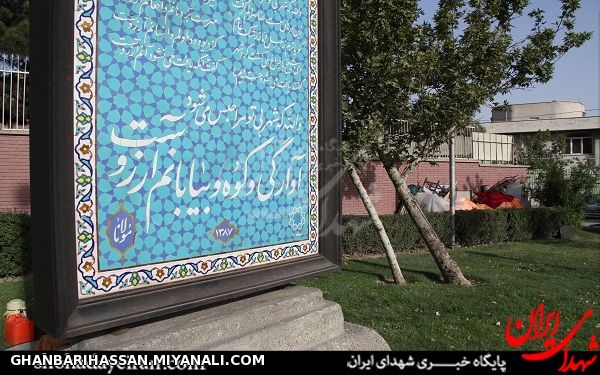 زندگی خواهر شهید در گوشه خیابان