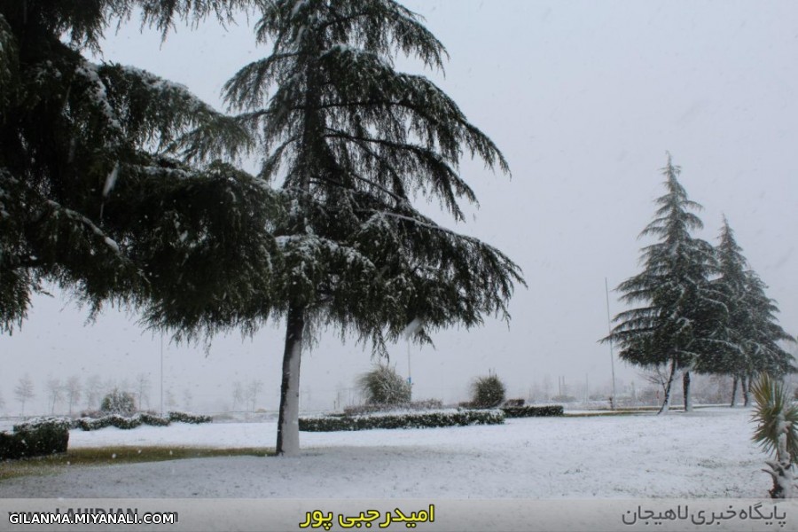 سفر به سرزمین گیلان با کانال تلگرام «گیلانه»