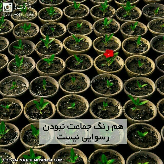 گاهی ....