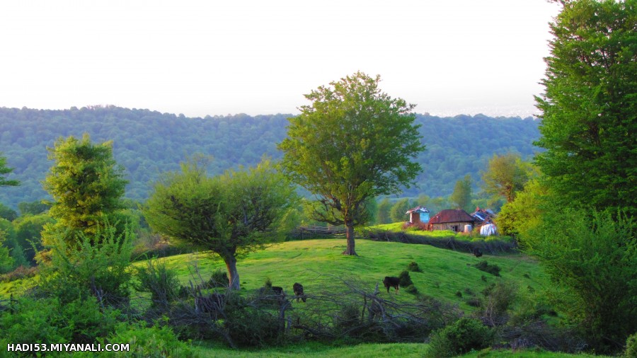 خونه تنهایی من