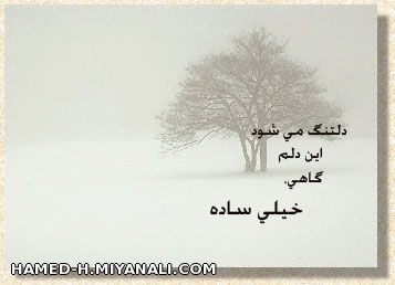   دلم برای کسی تنگ است که هنگام دلتنگیهام آغوشش مأمنم بود