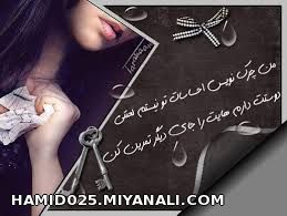 من چکنویس احساسات شما نیستم........