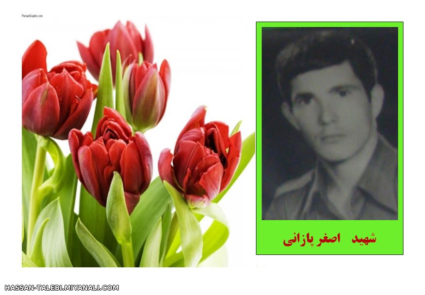 شهید اصغر پازانی