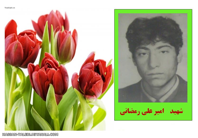 شهید امیر علی رمضانی