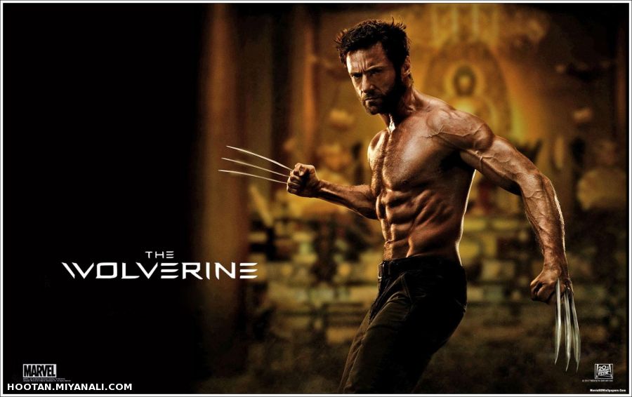 The Wolverine [2013]