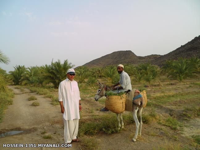 بلوچستان