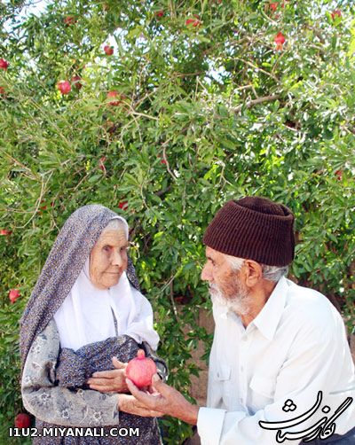 پدر بزرگم هیچ وقت به مادربزرگم خیانت نکرد .. (توضیحات)