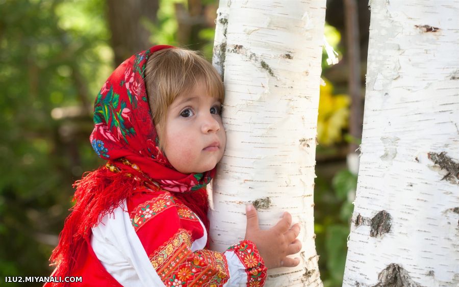 می توان برگی بود و با یک نسیم افتاد.. 