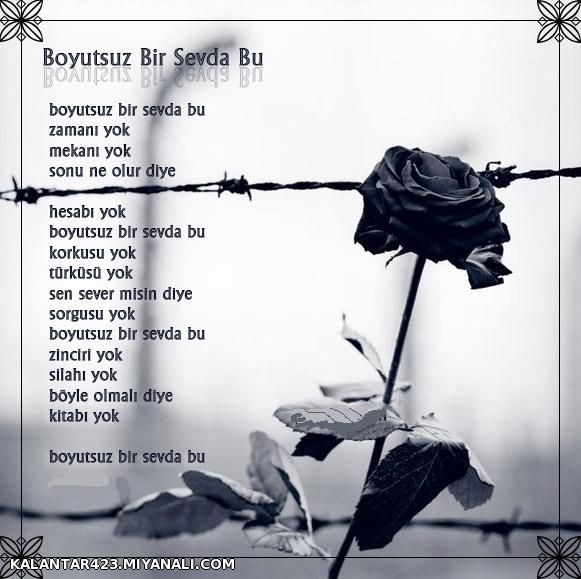 boyutsuz bir sevda bu