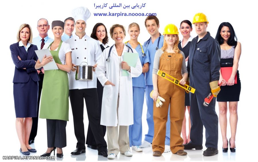 استخدام در طرح شبکه بلوکارت اتحادیه اروپا