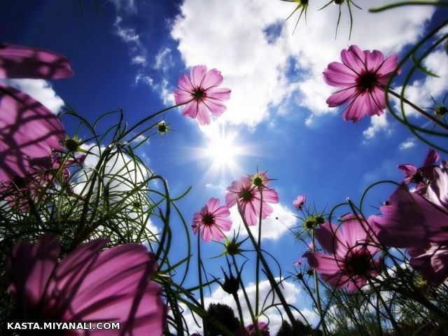 این تصویرم بخاطر یه بانو که دیر اومد