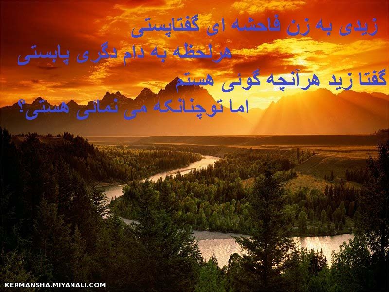 زیدی به زن.......