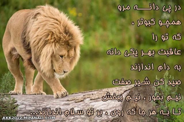 aslan