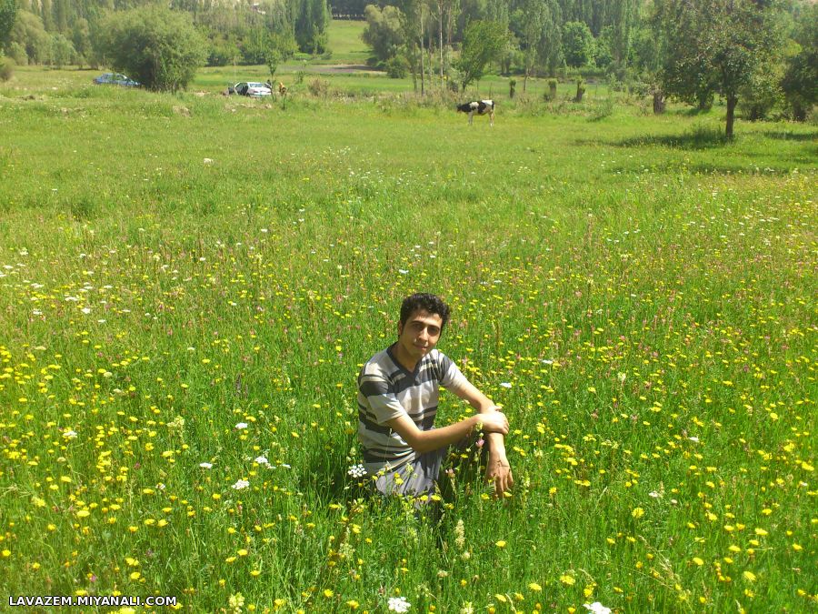 کوه ارجمند