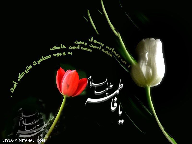 یا زهرا