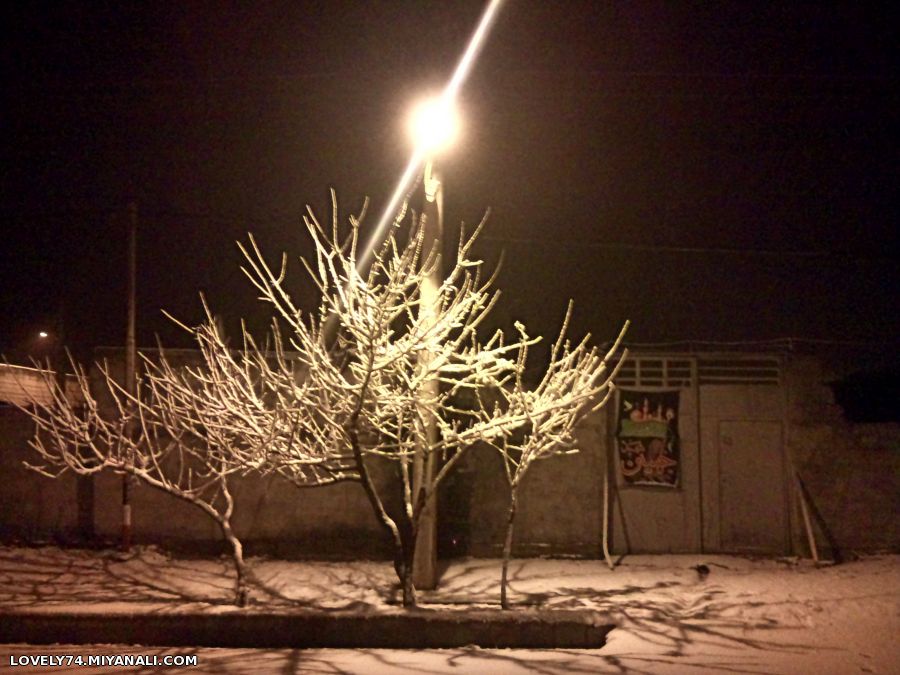 شب زمسانی خاتون آباد 