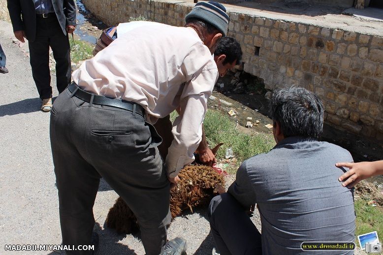  گازرسانی به روستاهای مسیر گوگدرق بخش ترکمنچای با پیگیری های دکتر مددی 