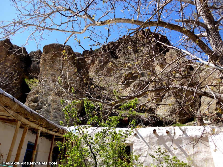 طبیعت بکر روستای ما