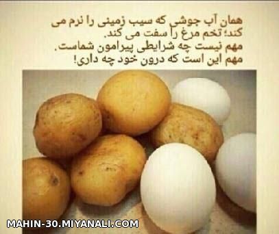 مهم این است .....