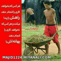 کار و تلاش