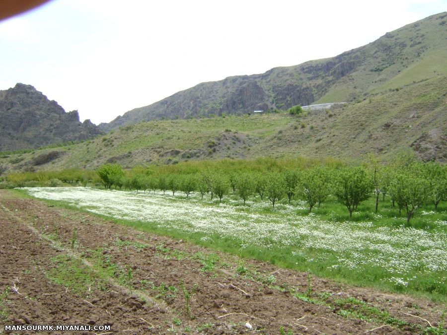 طبیعت اطراف میانه