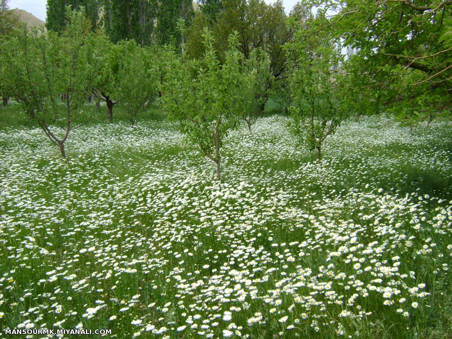 طبیعت اطراف میانه