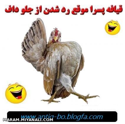 عکس خنده دار