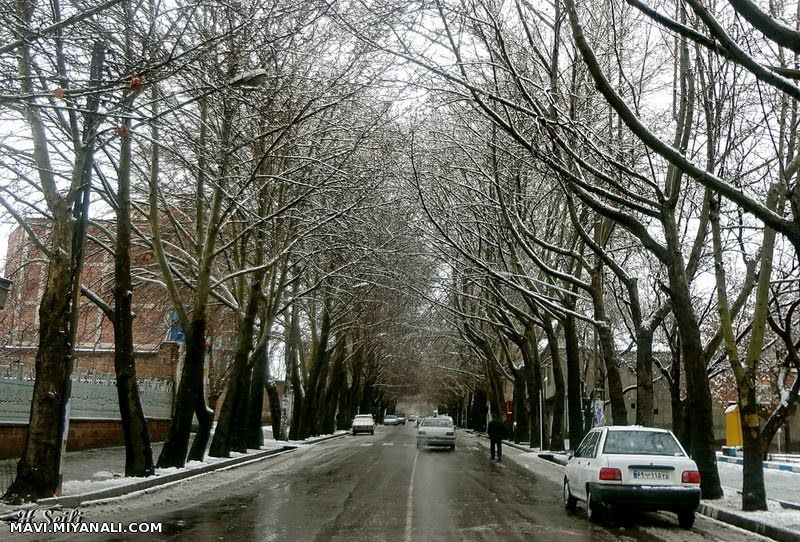 خیابان دانشسرای مراغه