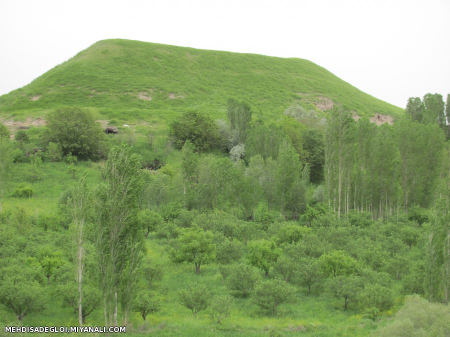 بروانان صومعه علیا