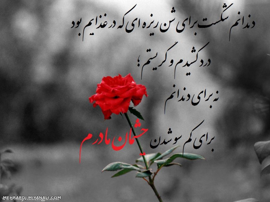 چه می دانی از دل تنگم؟!