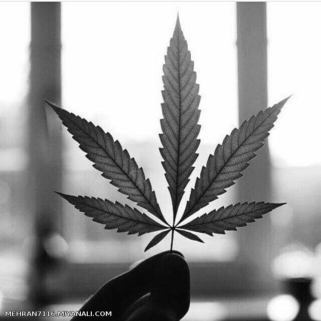 I LOVE WEED