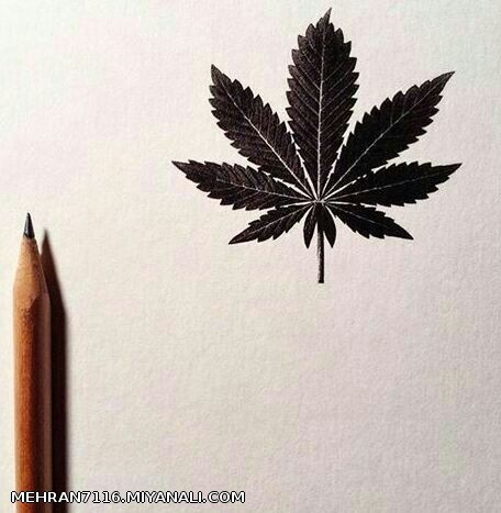 I LOVE WEED