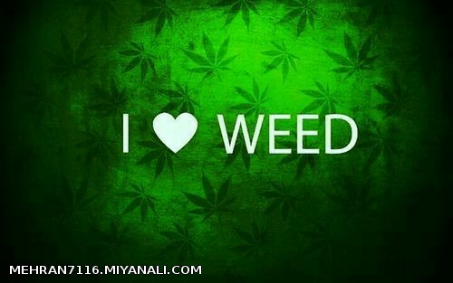 I LOVE WEED 420