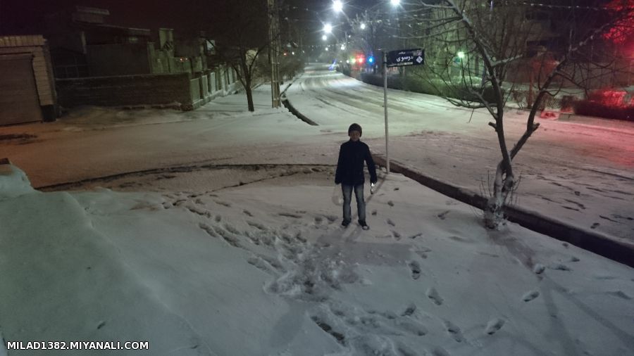 برف و باد درترکمانچای 